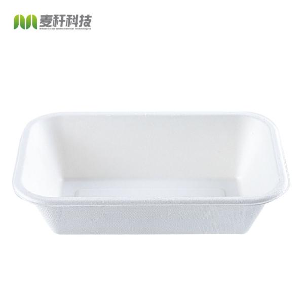 Rectangle 32oz Disposable Catering Trays With Lids Food Plant Pattern