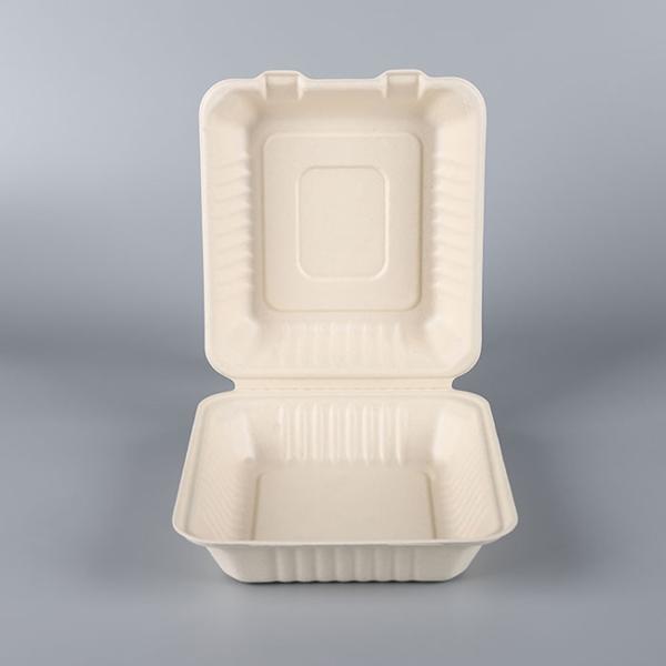 Take Out Food Sugarcane Packaging Shipping Box Biodegradable Clamshell 3 Compartments Disposable Food,food & Beverage Packaging