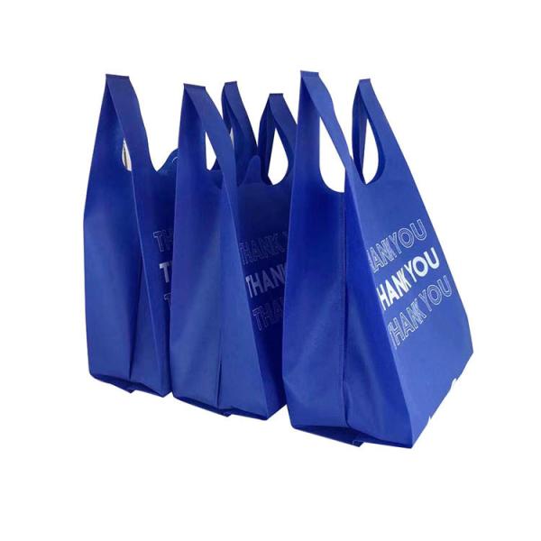 Nice Design PP Non-Woven Bag for Shopping and Promotion