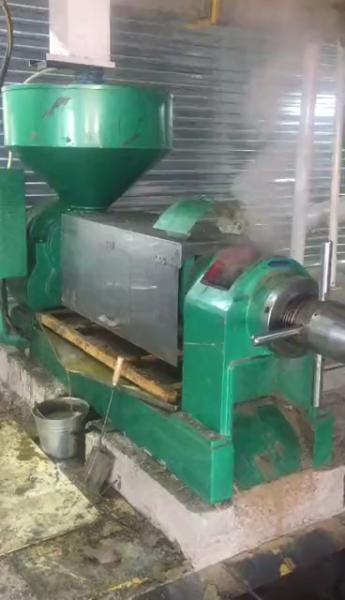 Daily Press Oil Producting 10ton Per Day 140 Oil Press with Motor 22kw