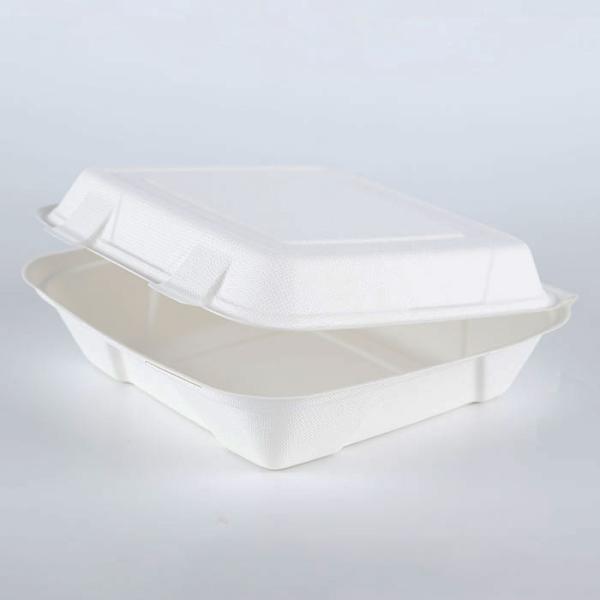 Compostable Sugarcane Bagasse fiber take away take out fast food biodegradable disposable packaging box container Microwave Safe