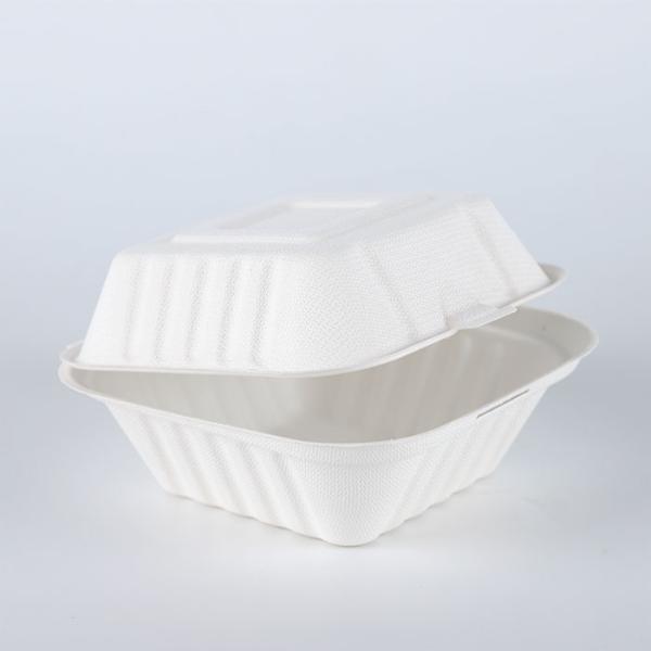 Disposable ECO Sugarcane Bagasse Pulp Heat-Resisting Microwaveable Take Out Food packaging Container
