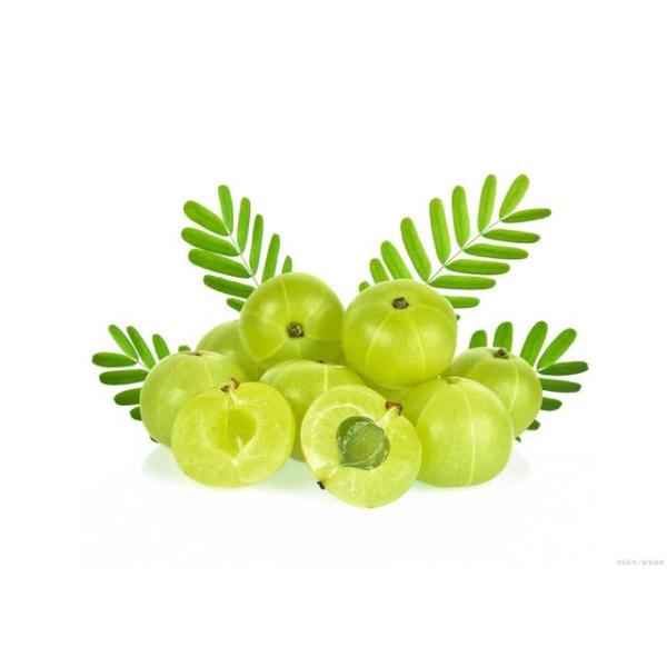 Phyllanthus emblica Extract, Amla Extract, Water-soluble Emblica Extract, Alma fruit Powder, natural food ingredients