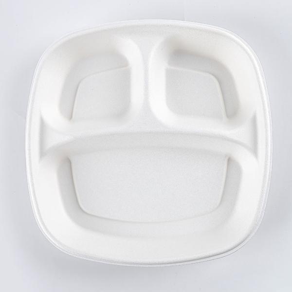 Eco Friendly Sugarcane Bagasse Biodegradable Disposable Tray Compostable Tableware Rectangle 9 Inch