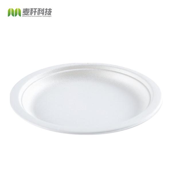 wholesale biodegradable sugarcane tableware disposable bagasse compostable paper 10 inch plates manufacturer