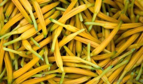 Hemerocallia Fulva extract, Daylily Extract, Needle Flower Extract, Hemerocallis