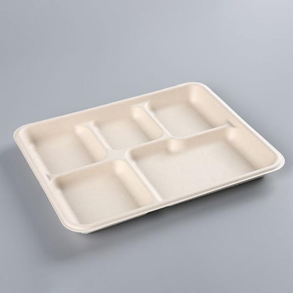 Fiber 5 Section Compartment Biodegradable Disposable Tray Hot Selling