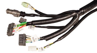 Vehicle wiring harness