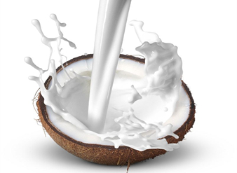 Coconut Powder, Coconut Milk Powder, Coconut meat Juice Powder, fruit powder