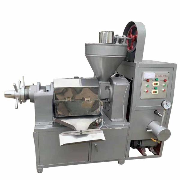 Sesame Seed Oil Press Automatic Food Processing Machine High Yield
