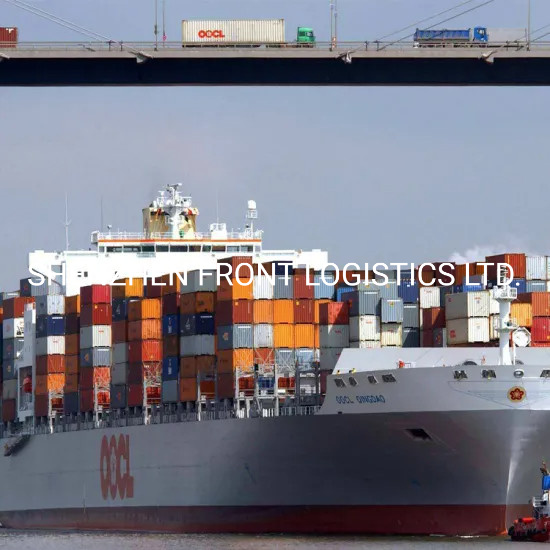 Favorable Ocean Freight Logistics Sea Freight Logistics From China To Valencia Spain