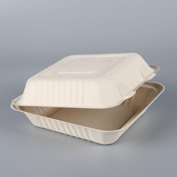 biodegradable disposable sugarcane bagasse takeaway food container packaging clamshell lunch box