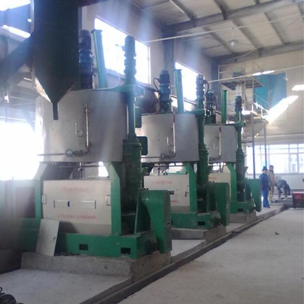 Oil Extraction Machine Walnut, Moringa Press Oil Machine Price Oil Expeller Machine