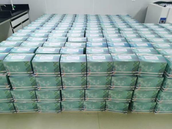 High Quality Hospital Medical Supplies New Crown Vaccine Test Reagent