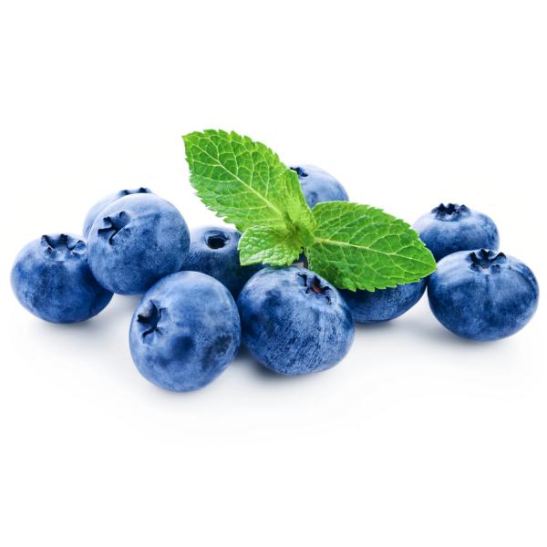 Bilberry Extract, whortleberry Extract powder, Vaccinium fruit Extract, eyes