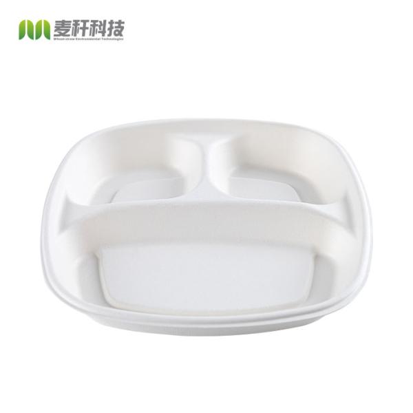 Eco Friendly Sugarcane Bagasse Biodegradable Disposable Tray Compostable Tableware Rectangle 9 Inch