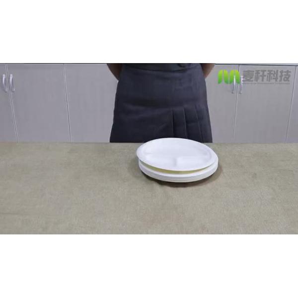 Envases Bagazo Pulp paper disposable bowls and plates