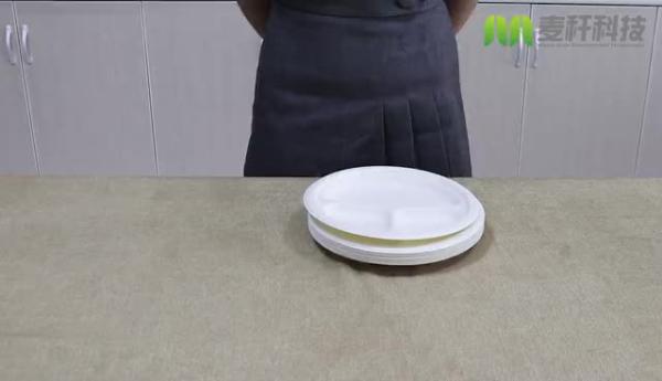 Envases Bagazo Pulp paper disposable bowls and plates