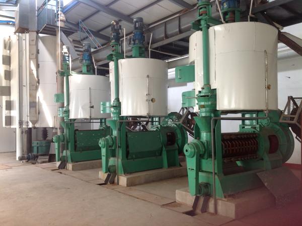 Longer Automatic Screw Sunflower Oil Press Machine/Sunflower Oil Refining Machine/Sunflower Oil Making Machine