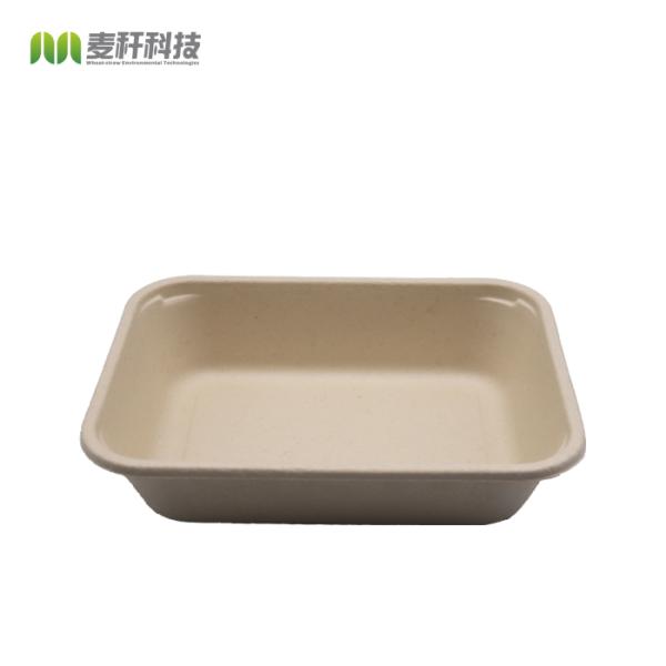 Bagasse Soup Disposable Takeaway Containers With Lid , 900ml Disposable Trays For Food