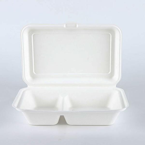 Container Eco-friendly Sugarcane Pulp Takeaway Food Packaging Box Alternative to Plastic Factory Supply Restaurant Paperboard