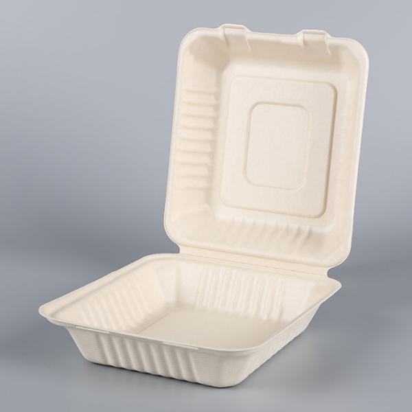 biodegradable disposable sugarcane bagasse takeaway food container packaging clamshell lunch box