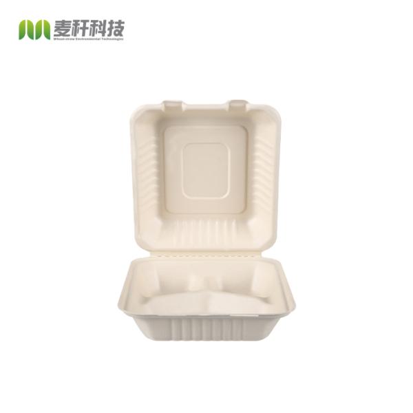 Eco-friendly natural sugarcane pulp restaurant catering food packaging containers
