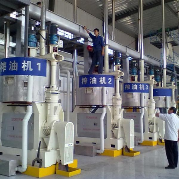 coconut oil extract expeller machine and coconut oil fractionation machine copra oil press equipment