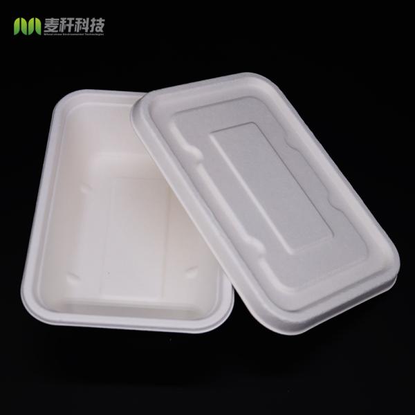 Sugarcane Bagasse Biodegradable Disposable Box , White Takeaway Food Tray With Lid