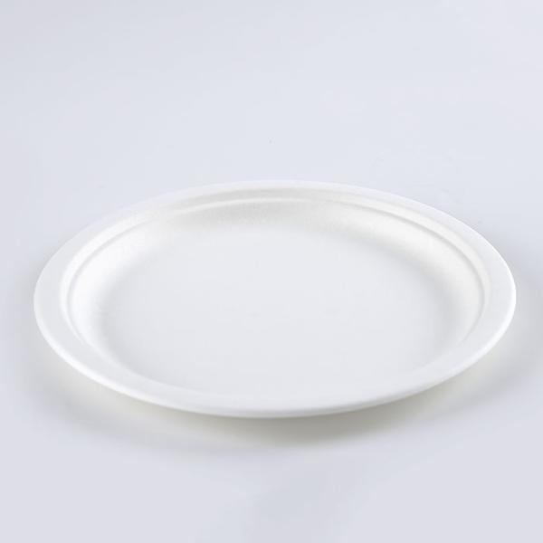 wholesale biodegradable sugarcane tableware disposable bagasse compostable paper 10 inch plates manufacturer