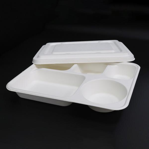Eco Friendly Disposable Food Trays , Restaurant Sugarcane 5 Compartment Tray