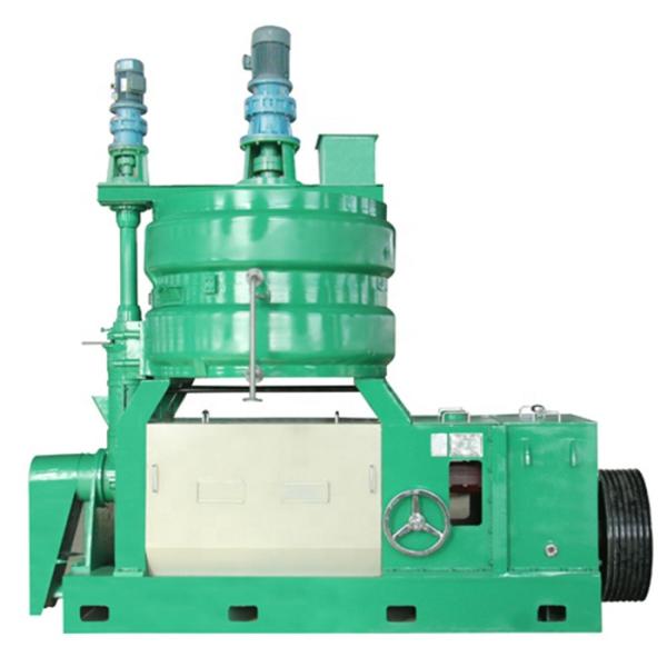 Oil Extraction Machine Walnut, Moringa Press Oil Machine Price Oil Expeller Machine