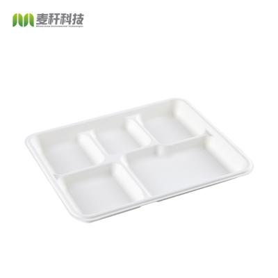 Paper 5 Compartment Disposable Plates , Sugarcane / Bagasse And Bamboo Biodegradable Take Out Containers