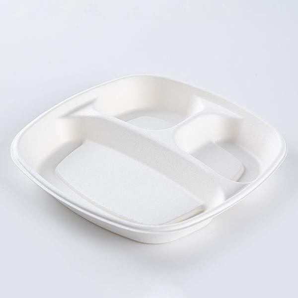 Eco Friendly Sugarcane Bagasse Biodegradable Disposable Tray Compostable Tableware Rectangle 9 Inch