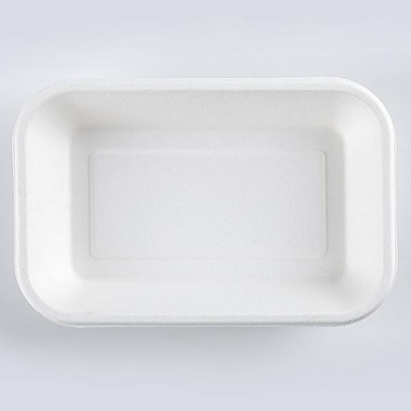 Sugarcane Pulp Biodegradable Disposable Tray Rectangular Dining Box