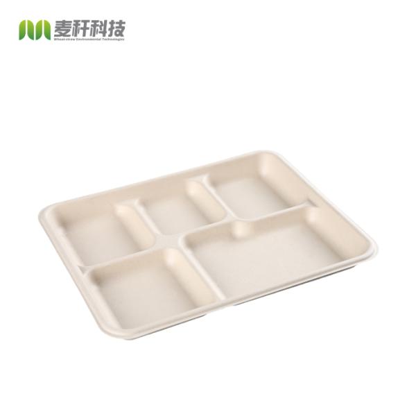 Fiber 5 Section Compartment Biodegradable Disposable Tray Hot Selling