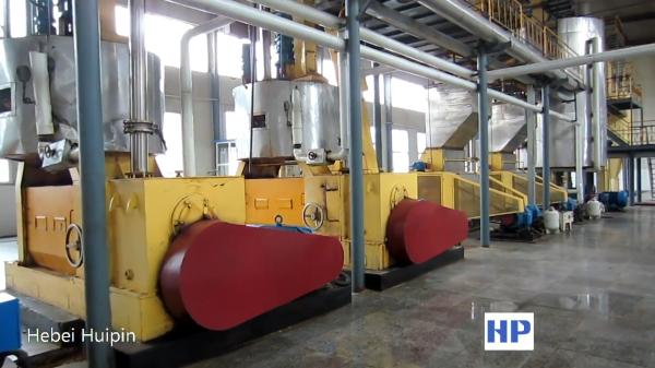 Large Capacity Industrial Oil Press for Cottonseed Rapeseed Sunflower Oilseed