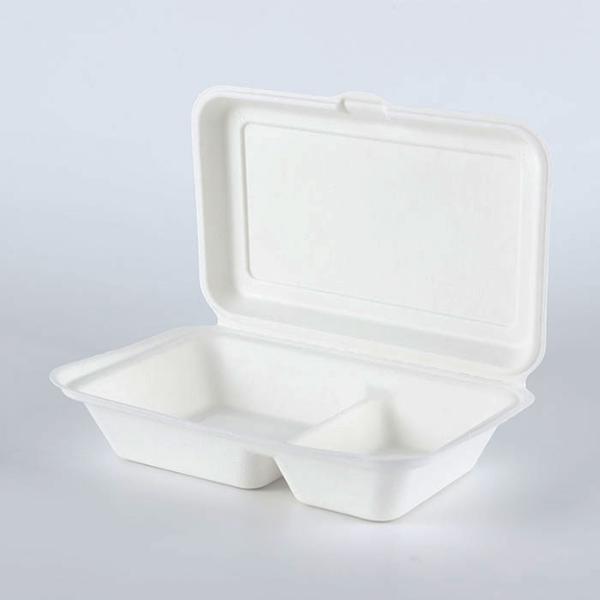 Container Eco-friendly Sugarcane Pulp Takeaway Food Packaging Box Alternative to Plastic Factory Supply Restaurant Paperboard