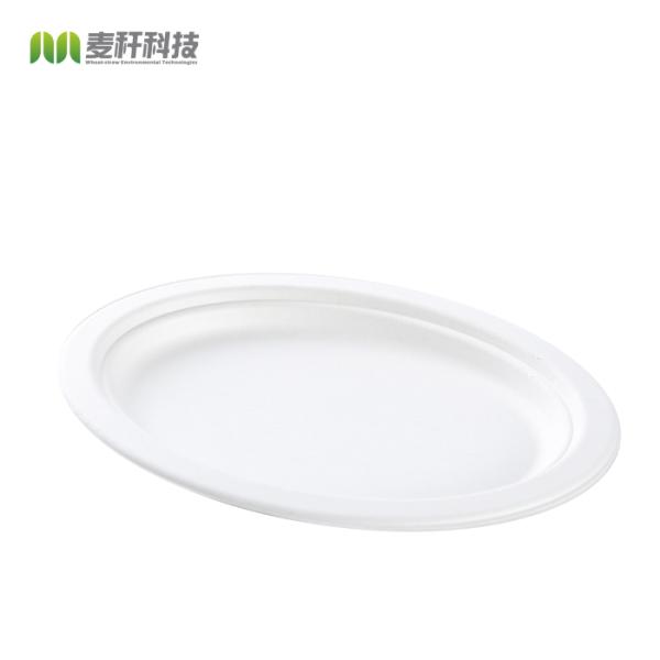Biodegradable Sugarcane Pulp Party Dinnerware Plate Sugarcane Bagasse Paper Plate Round Disposable Plate dishes