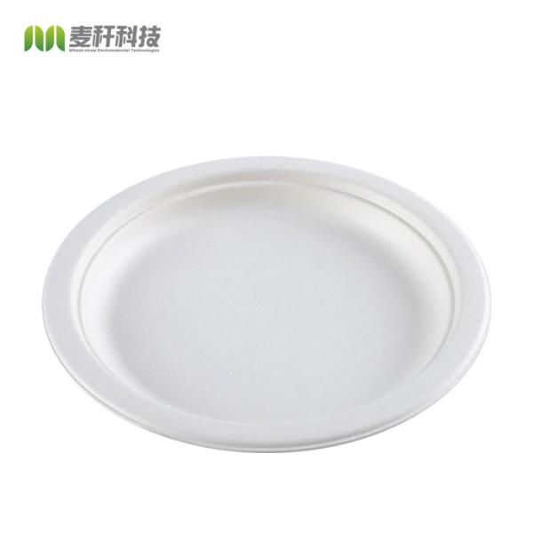 Biodegradable Snacks Sugar Steak Cane Bagasse Disposable Fast Food Plates round square oval rectangular
