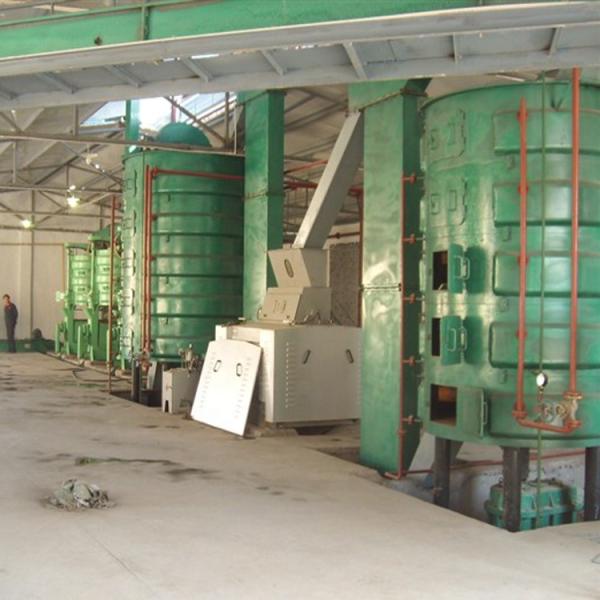 high quality 40-50 TPD sunflower cottonseed peanut pre-press edible oil presser machine