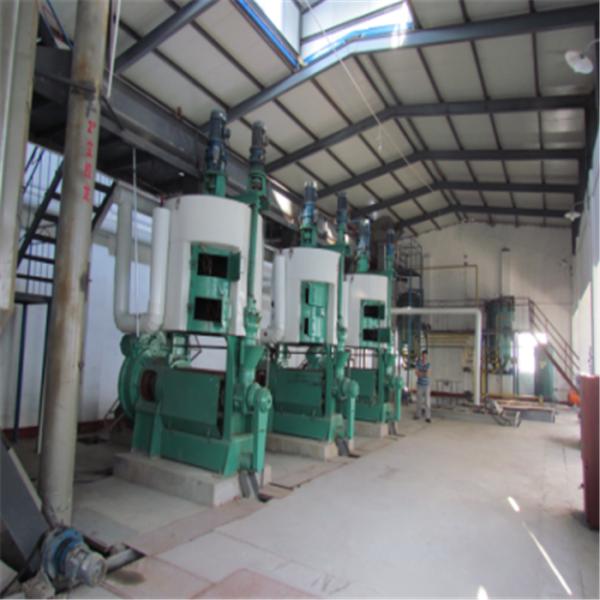 Large automatic Peanut Oil Press Machine