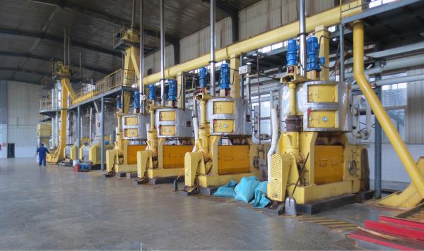 sunflower seed corn germ screw oil press machine oil plant