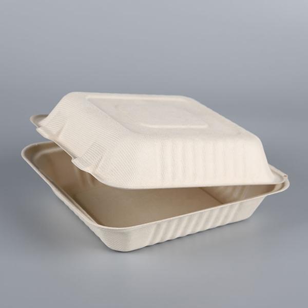 Take Out Food Sugarcane Packaging Shipping Box Biodegradable Clamshell 3 Compartments Disposable Food,food & Beverage Packaging