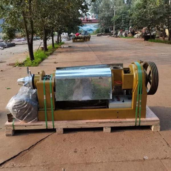 Carbon steel 9-11tons per 24hours sunflower safflower seed oil plant screw oil press machine