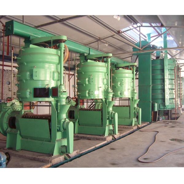 Peanut Rapeseed Corn Germ Soybean Canola Black Seed Oil Production Line