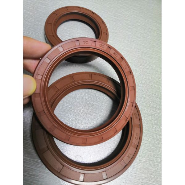 Double Lip High Pressure Resistant Shaft FKM Rubber Motorcycle Tc Skeleton Oil Seal