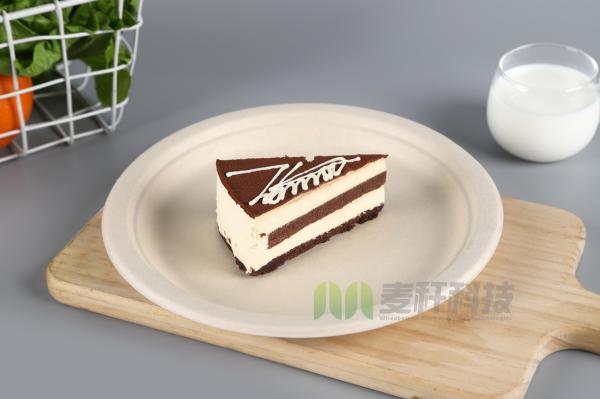 Sugarcane Bagasse Dishes Compostable Biodegradable Disposable Plate Dinnerware Restaurant Use