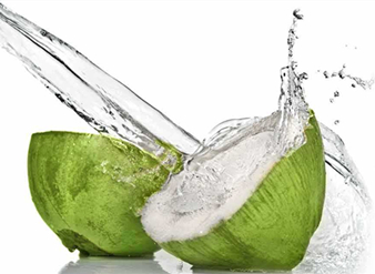 Coconut water Powder, Coconut Powder, Coconut extract powder, Cocos nucifera powder, Chinese manufacturer