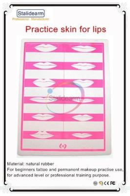 L20cm*W15cm Lips Practice Skin 0.1cm Thickness Two Sided With Bilayer
